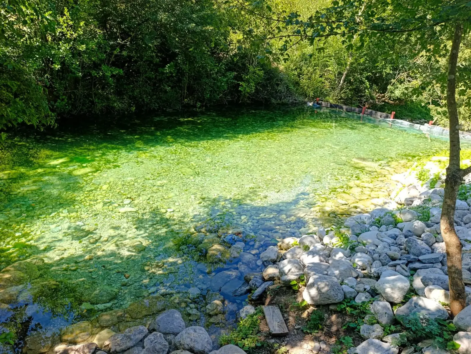 Prirodni bazen u rijeci Bijeloj, bistra zelena voda nad šljunkom, okružena šumom